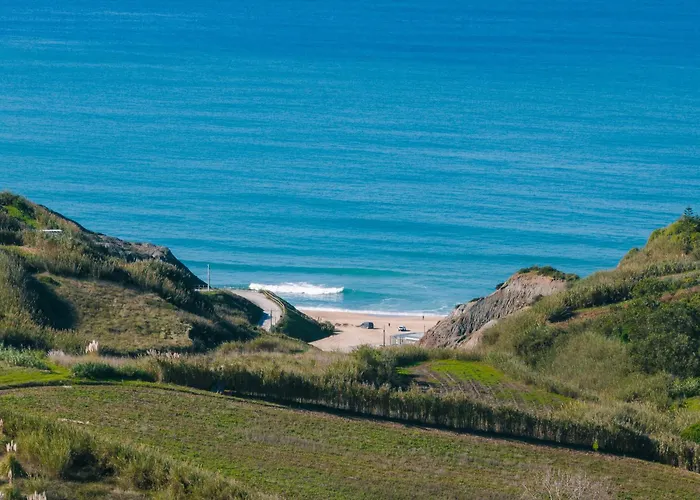 And Friends With Ocean View 劳林哈